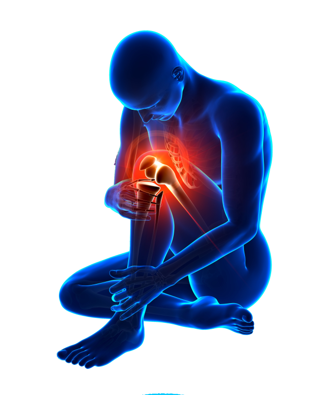 Bone, Joint & Muscle Care