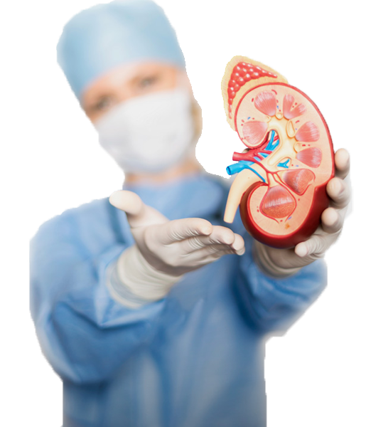 Kidney Care